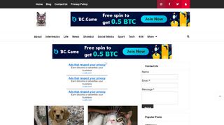 لقطة شاشة لموقع cats usa
بتاريخ 29/10/2019
بواسطة دليل مواقع توب