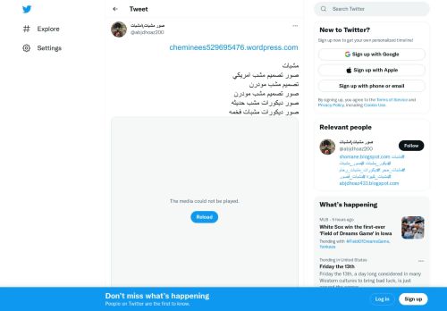 مشبات