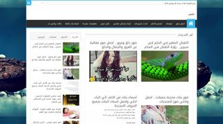 نايس